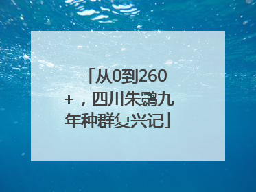 从0到260+，四川朱鹮九年种群复兴记