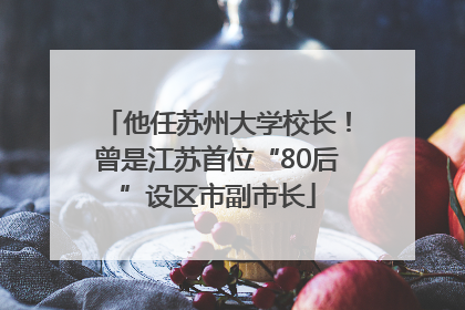 他任苏州大学校长！曾是江苏首位“80后”设区市副市长