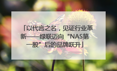 以代言之名，见证行业革新——绿联迈向“NAS第一股”后的品牌跃升