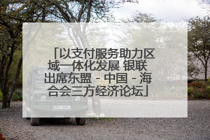 以支付服务助力区域一体化发展 银联出席东盟－中国－海合会三方经济论坛