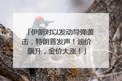 伊朗对以发动导弹袭击，特朗普发声！油价飙升，金价大涨！