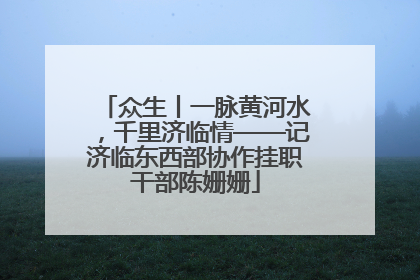 众生丨一脉黄河水，千里济临情——记济临东西部协作挂职干部陈姗姗