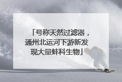 号称天然过滤器，通州北运河下游新发现大量蚌科生物