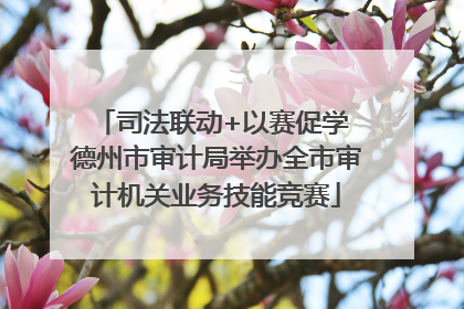 司法联动+以赛促学 德州市审计局举办全市审计机关业务技能竞赛