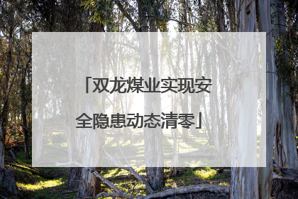 双龙煤业实现安全隐患动态清零