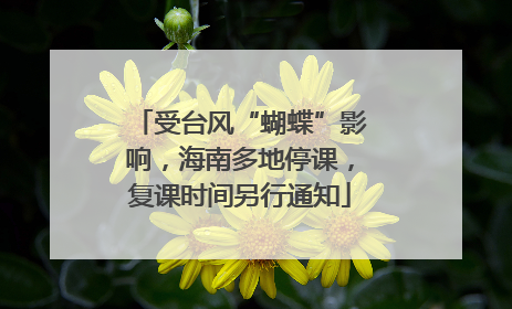 受台风“蝴蝶”影响，海南多地停课，复课时间另行通知