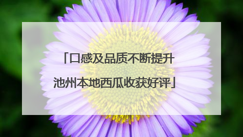 口感及品质不断提升 池州本地西瓜收获好评