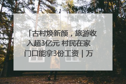 古村焕新颜，旅游收入超3亿元 村民在家门口能拿3份工资｜万千气象看四川