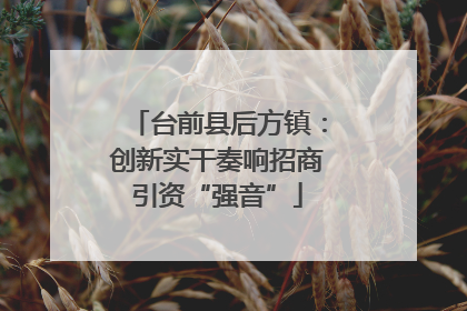 台前县后方镇：创新实干奏响招商引资“强音”