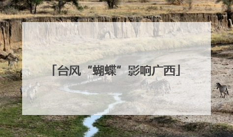 台风“蝴蝶”影响广西