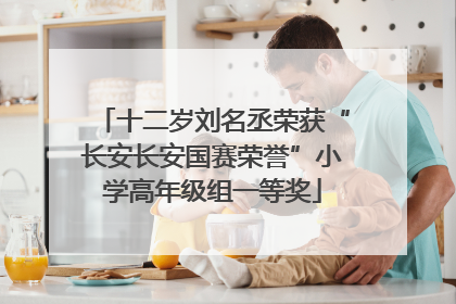 十二岁刘名丞荣获“长安长安国赛荣誉”小学高年级组一等奖