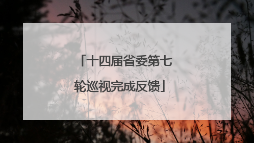 十四届省委第七轮巡视完成反馈
