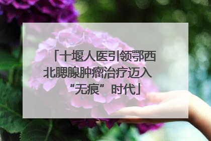 十堰人医引领鄂西北腮腺肿瘤治疗迈入“无痕”时代