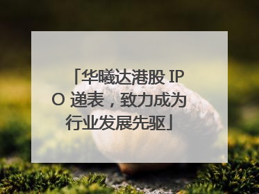 华曦达港股 IPO 递表，致力成为行业发展先驱