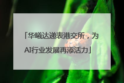 华曦达递表港交所，为AI行业发展再添活力