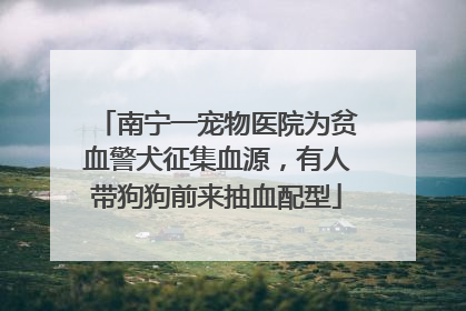 南宁一宠物医院为贫血警犬征集血源，有人带狗狗前来抽血配型