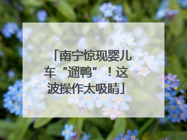 南宁惊现婴儿车“遛鸭”！这波操作太吸睛