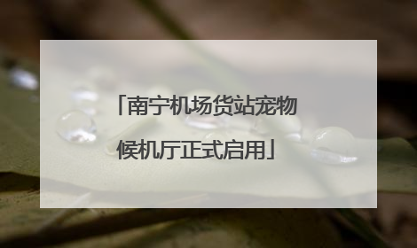 南宁机场货站宠物候机厅正式启用