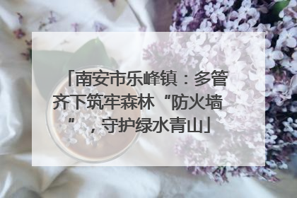 南安市乐峰镇：多管齐下筑牢森林“防火墙”，守护绿水青山