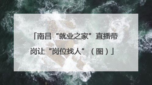南昌“就业之家”直播带岗让“岗位找人”（图）