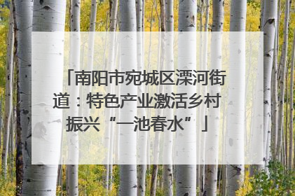 南阳市宛城区溧河街道：特色产业激活乡村振兴“一池春水”