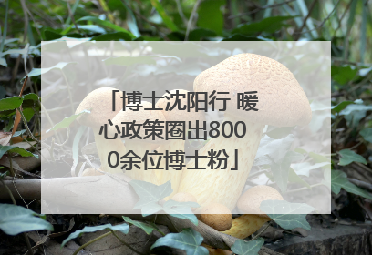 博士沈阳行 暖心政策圈出8000余位博士粉