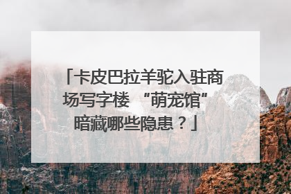 卡皮巴拉羊驼入驻商场写字楼 “萌宠馆”暗藏哪些隐患？