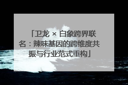 卫龙 × 白象跨界联名：辣味基因的跨维度共振与行业范式重构
