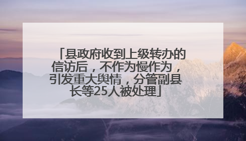 县政府收到上级转办的信访后，不作为慢作为，引发重大舆情，分管副县长等25人被处理