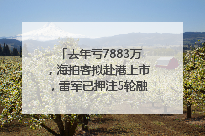 去年亏7883万，海拍客拟赴港上市，雷军已押注5轮融资｜IPO直通车