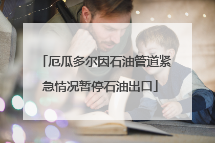 厄瓜多尔因石油管道紧急情况暂停石油出口