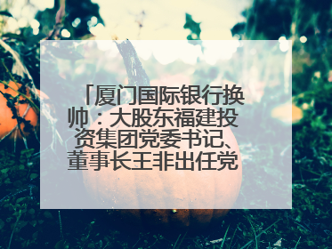 厦门国际银行换帅：大股东福建投资集团党委书记、董事长王非出任党委书记