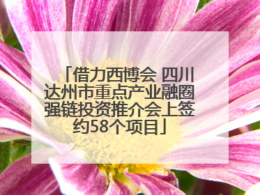 借力西博会 四川达州市重点产业融圈强链投资推介会上签约58个项目