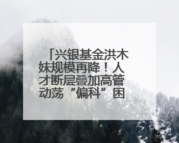 兴银基金洪木妹规模再降！人才断层叠加高管动荡“偏科”困局何解