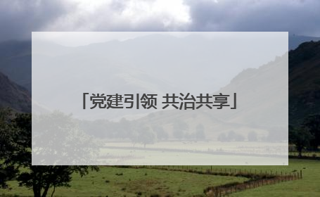 党建引领 共治共享