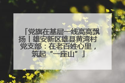 党旗在基层一线高高飘扬丨雄安新区雄县黄湾村党支部：在老百姓心里，筑起“一座山”