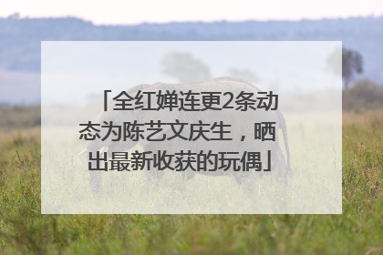 全红婵连更2条动态为陈艺文庆生，晒出最新收获的玩偶