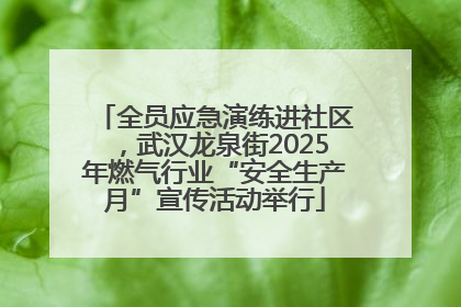 全员应急演练进社区，武汉龙泉街2025年燃气行业“安全生产月”宣传活动举行