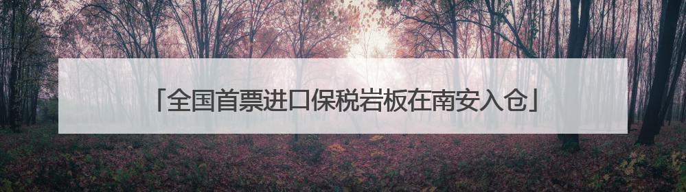 全国首票进口保税岩板在南安入仓