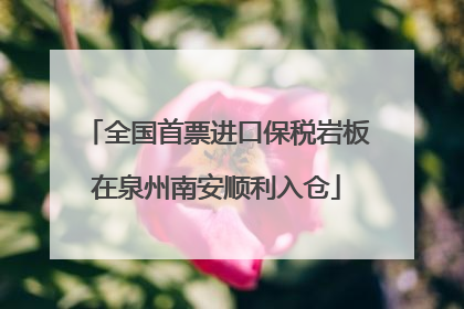 全国首票进口保税岩板在泉州南安顺利入仓