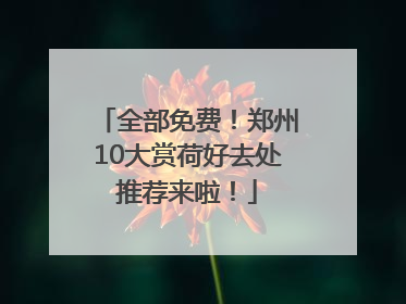 全部免费！郑州10大赏荷好去处推荐来啦！