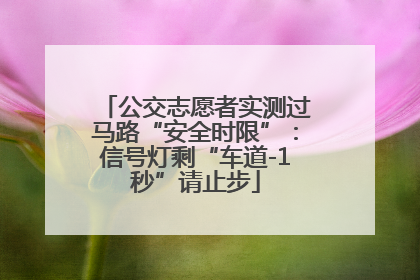 公交志愿者实测过马路“安全时限”：信号灯剩“车道-1秒”请止步