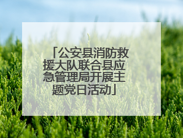 公安县消防救援大队联合县应急管理局开展主题党日活动