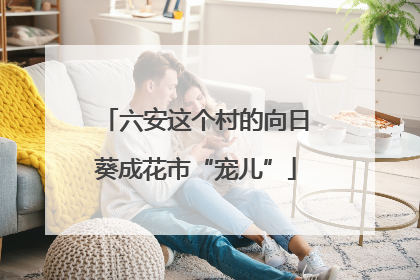 六安这个村的向日葵成花市“宠儿”