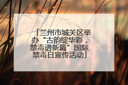 兰州市城关区举办“古韵绽华彩，禁毒谱新篇”国际禁毒日宣传活动