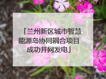 兰州新区城市智慧能源岛协同耦合项目成功并网发电
