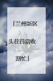 兰州新区头茬苜蓿收割忙