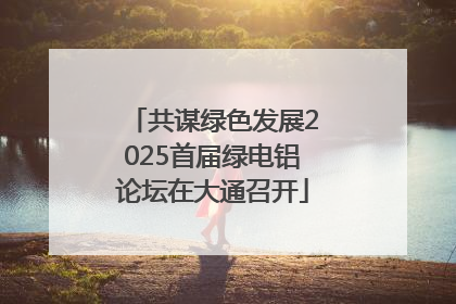 共谋绿色发展2025首届绿电铝论坛在大通召开