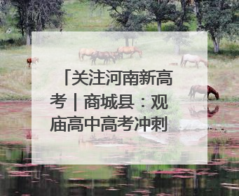 关注河南新高考｜商城县：观庙高中高考冲刺 “薪火相传”助力备考