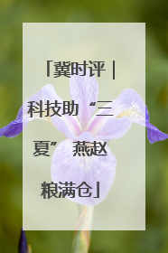 冀时评｜科技助“三夏” 燕赵粮满仓